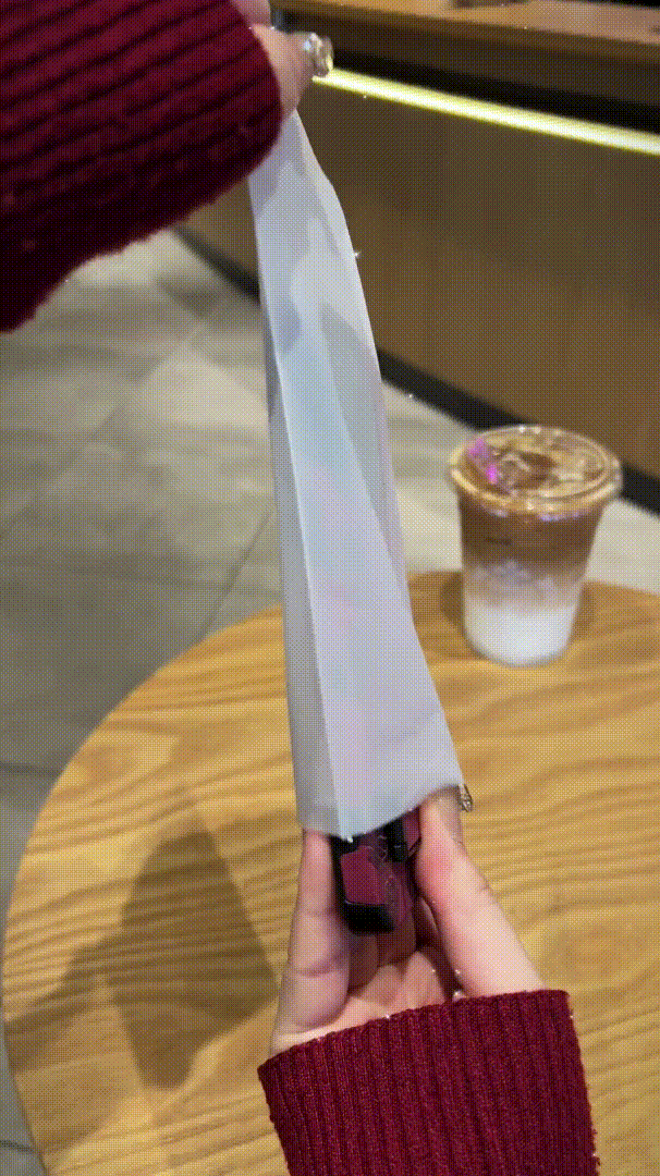 Full Screen Rose Phone Case For iPhone 16/15/14/13/12/11 Series